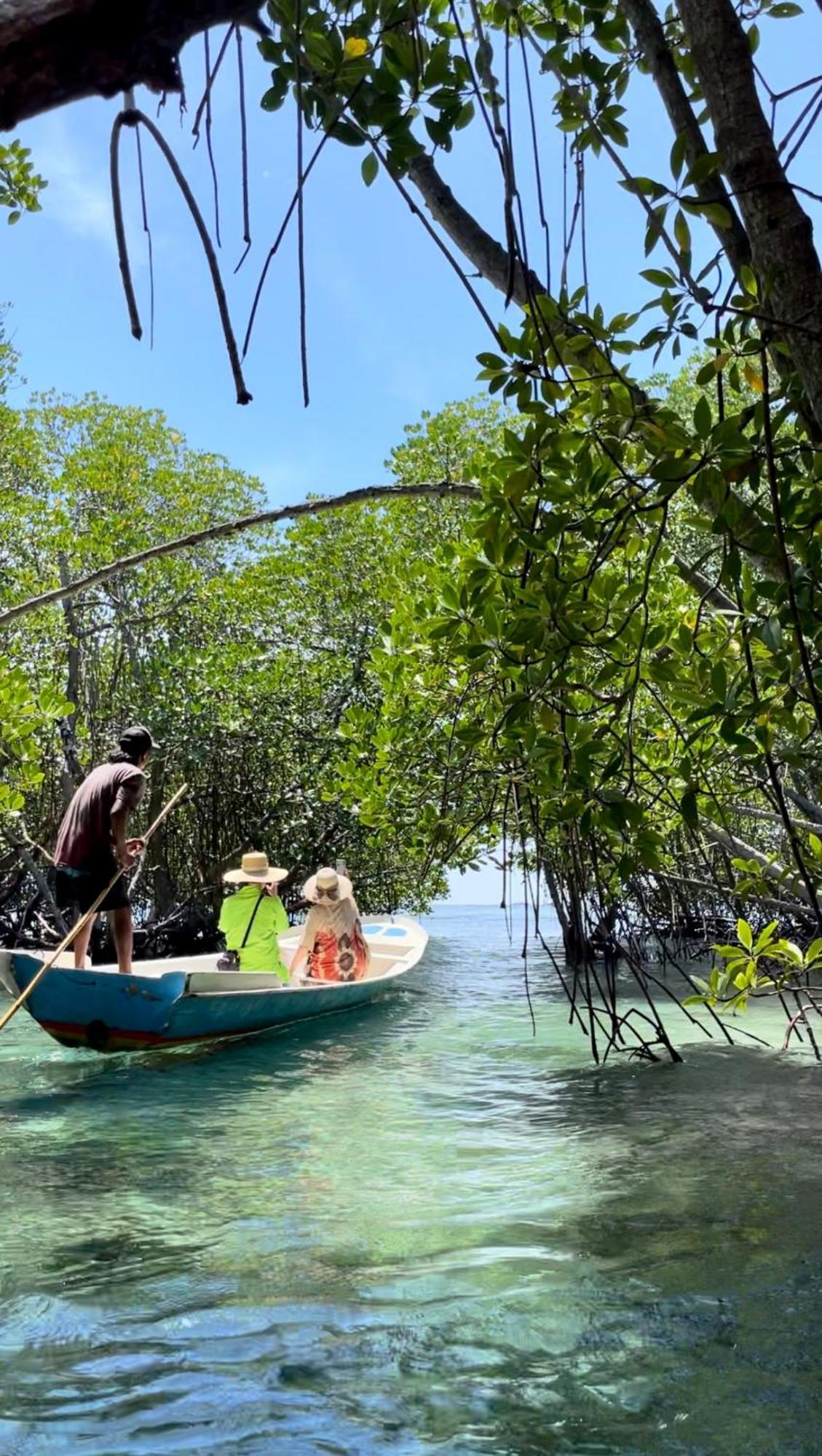 Mangrove Beach Hut Lembongan Buitenkant foto